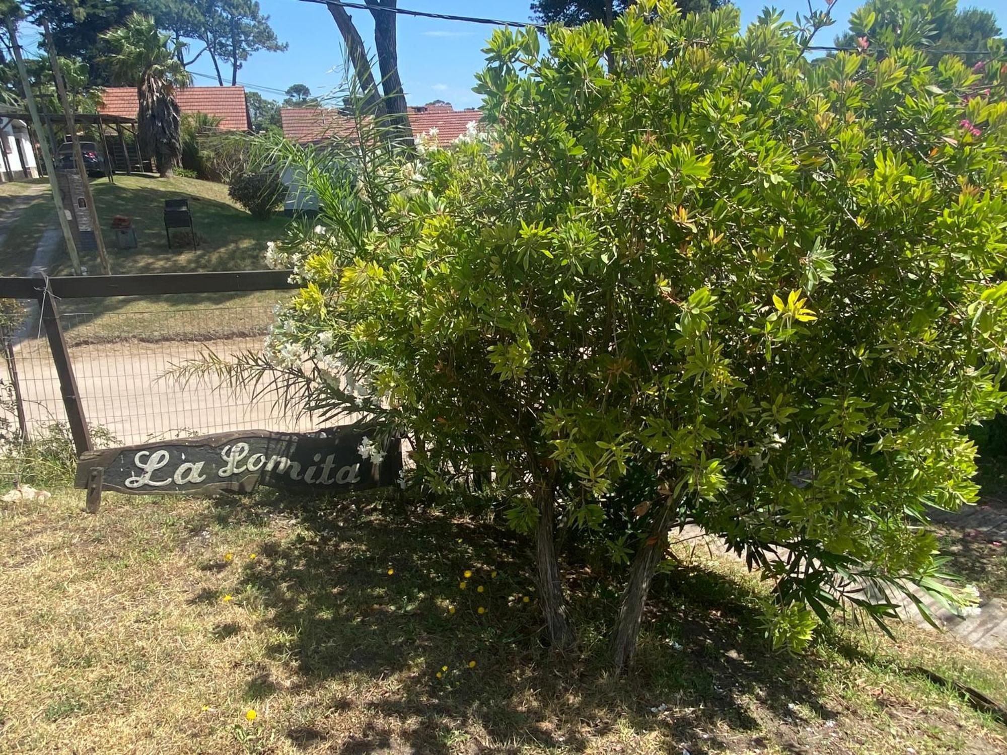 فندق Lomita Gesell فيلا جيزيل المظهر الخارجي الصورة